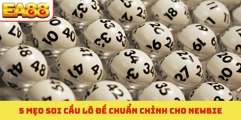 Bí Mật Soi Cầu Lô Đề Chuẩn - 3 Tuyệt Chiêu Đánh Bại Nhà Cái 2 5 mẹo soi cầu lô đề chuẩn chỉnh cho newbie