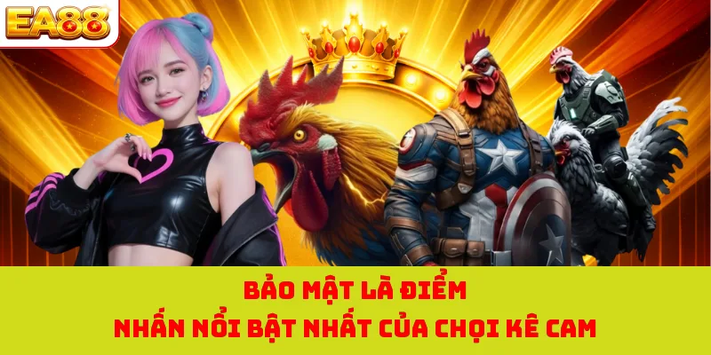 Đá Gà Cam - Bùng Nổ Cùng Đa Dạng Hình Thức Chọi Kê Hot 2026 3 Bảo mật là điểm nhấn nổi bật nhất của chọi kê cam