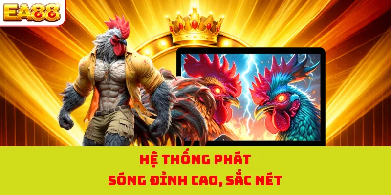 Đá Gà Cựa Sắt - Khám Phá Chi Tiết Luật Chơi Đơn Giản 2 Hệ thống phát sóng đỉnh cao, sắc nét