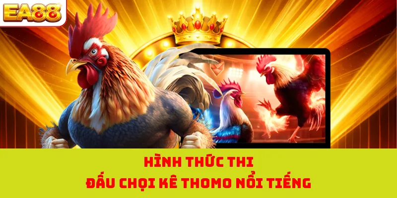 Đá Gà Thomo - Tận Hưởng Những Màn Giao Tranh Đỉnh Cao 2026 3 Hình thức thi đấu chọi kê Thomo nổi tiếng