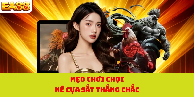 Đá Gà Cựa Sắt - Khám Phá Chi Tiết Luật Chơi Đơn Giản 4 Mẹo chơi chọi kê cựa sắt thắng chắc