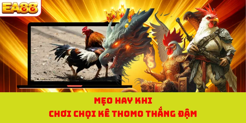 Đá Gà Thomo - Tận Hưởng Những Màn Giao Tranh Đỉnh Cao 2026 4 Mẹo hay khi chơi chọi kê thomo thắng đậm