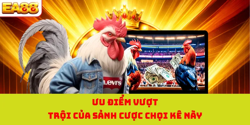Đá Gà Thomo - Tận Hưởng Những Màn Giao Tranh Đỉnh Cao 2026 2 Ưu điểm vượt trội của sảnh cược chọi kê này